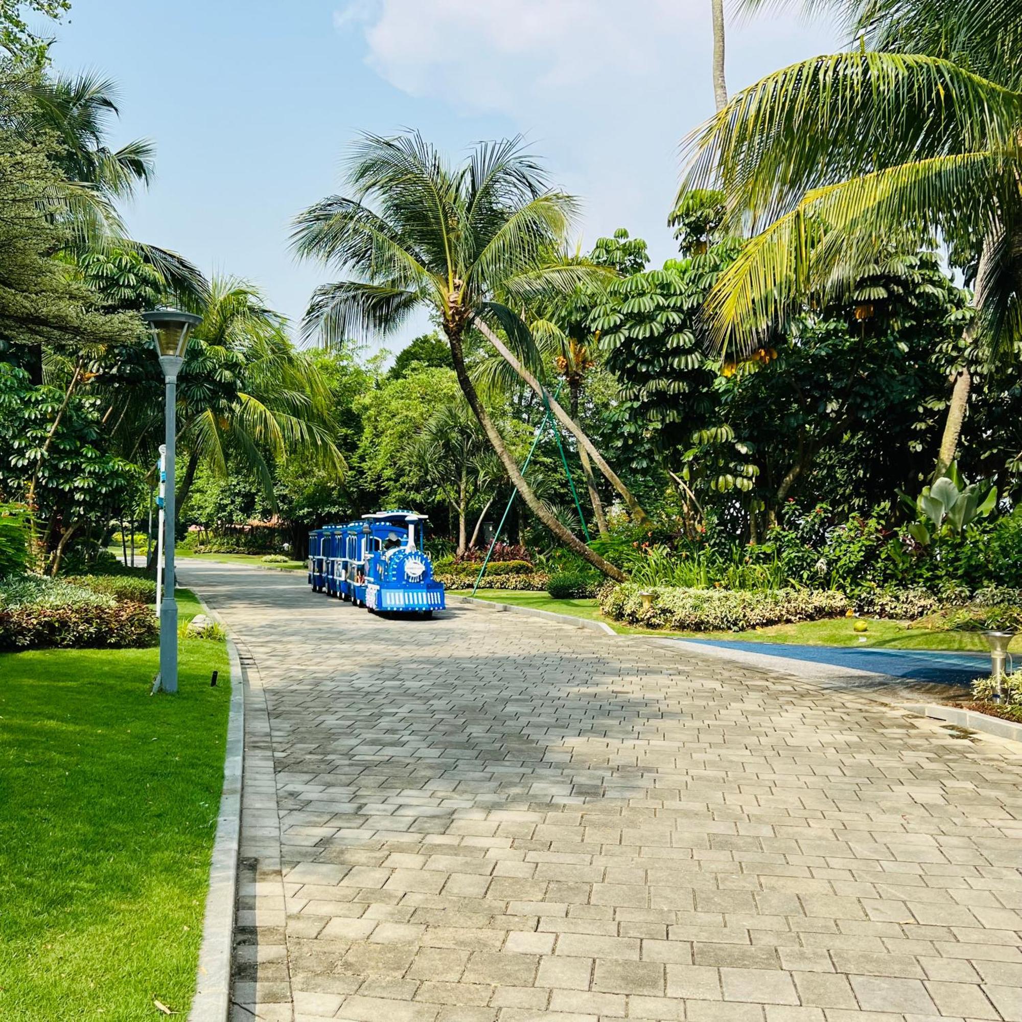 Ataraxia Park Forest Apartment