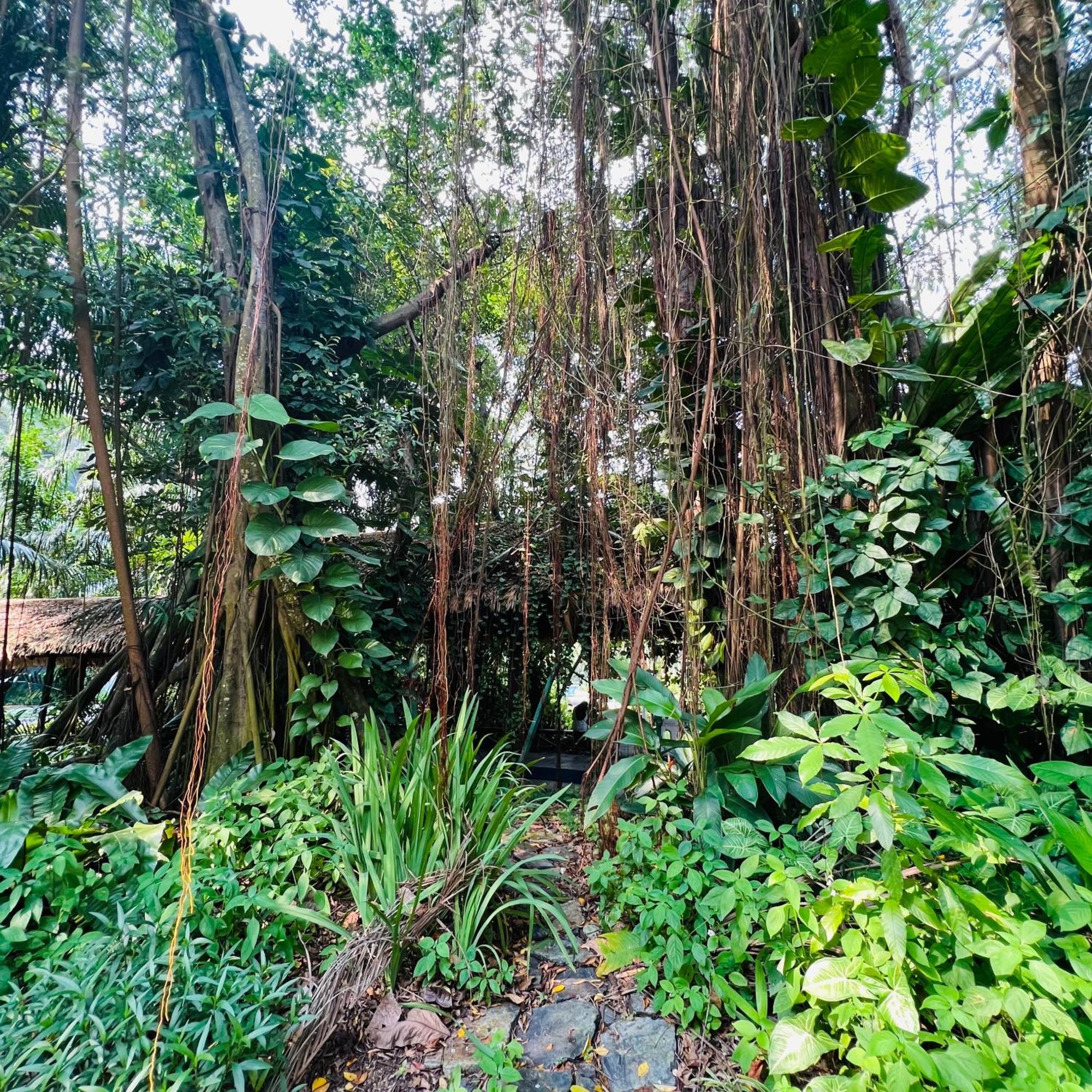 Apartment Ataraxia Park Forest